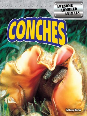 cover image of Conches